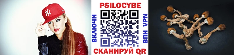 Галлюциногенные грибы Psilocybine cubensis  Севастополь 